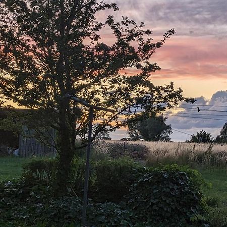 Bed and Breakfast Under Valnodden Stubbekobing Экстерьер фото