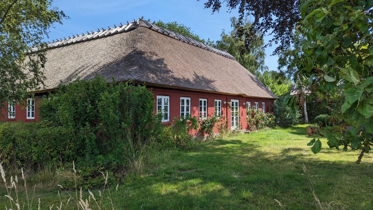 Bed and Breakfast Under Valnodden Stubbekobing Экстерьер фото