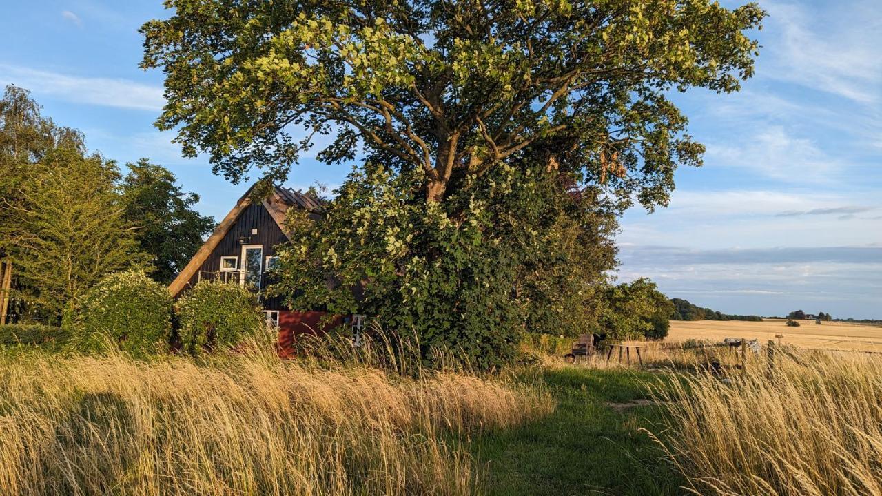Bed and Breakfast Under Valnodden Stubbekobing Экстерьер фото